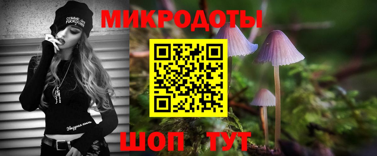 Псилоцибиновые грибы Psilocybine cubensis  где купить наркоту  Вход с VPN  Лангепас  Псилоцибиновые грибы Psilocybe 